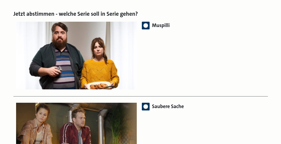 Screenshot Abstimmungs-Seite